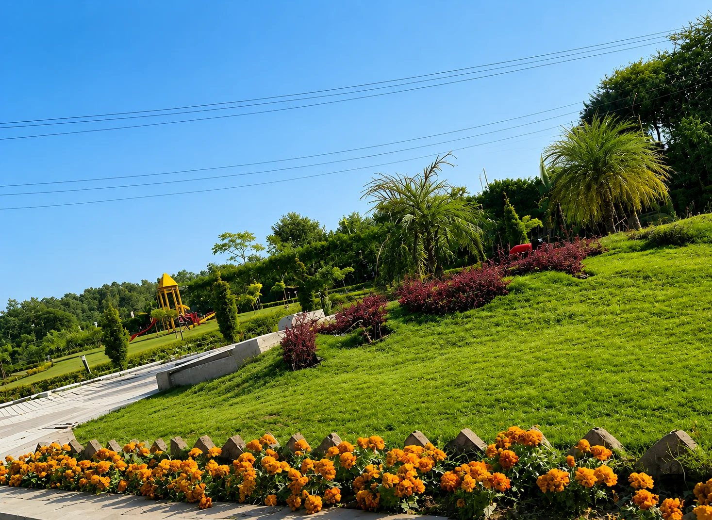 Velora Group landscaped project view