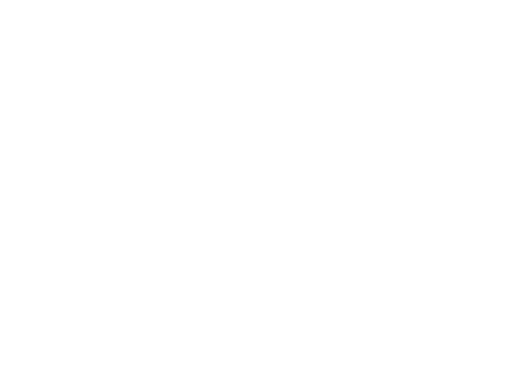 Velora Group logo